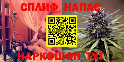 jwh Будённовск