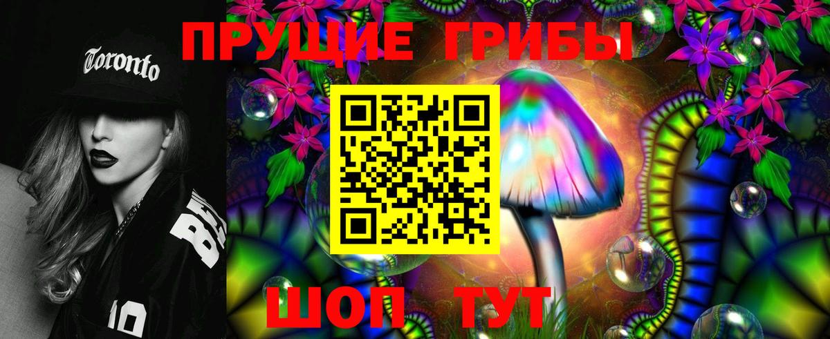 Кондопога  Псилоцибиновые грибы мицелий  Вход с VPN 